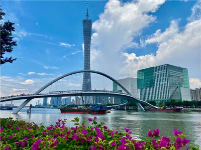 上海喝茶会所微信号多少